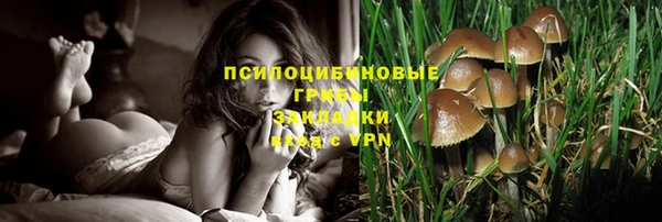 ПСИЛОЦИБИНОВЫЕ ГРИБЫ Ступино